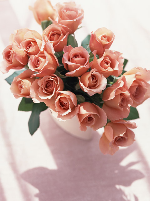 届いてすぐ飾れる♪《Ben's Arrangement》の写真