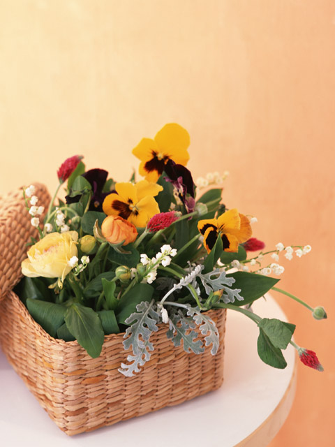 Ben's Flower Retreat の紹介写真_1枚目