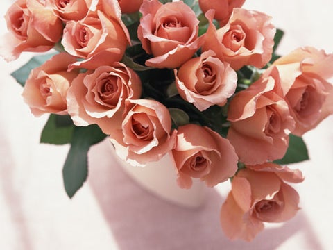 Ben's Flower Retreat の画像